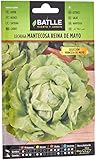 Lechuga R.Mayo - PRINCESA MAYO Foto, éxito de ventas 2025-2024 nuevo, mejor precio 1,60 € revisión