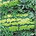 Photo Georgia Rattlesnake Watermelons Seeds (25+ Seeds) new bestseller 2024-2023