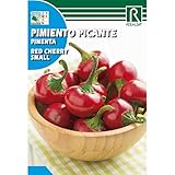 Semillas de Pimiento picante red cherry small Foto, éxito de ventas 2025-2024 nuevo, mejor precio 1,62 € revisión