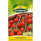 Tomaten, Supersweet 100, Cocktailtomate Foto, Bestseller 2025-2024 neu, bester Preis 3,19 € Rezension