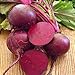 Photo David's Garden Seeds Beet Detroit Dark Red 1224 (Red) 200 Non-GMO, Heirloom Seeds new bestseller 2024-2023