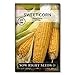 Photo Sow Right Seeds - Bantam Sweet Corn Seed for Planting - Non-GMO Heirloom Packet with Instructions to Plant a Home Vegetable Garden new bestseller 2024-2023