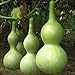 Foto 10 piezas de semillas de calabaza ideales para secar decorar formas extrañas adecuadas para varios propósitos paisaje pastoral fácil de germinar nuevo éxito de ventas 2024-2023