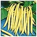 Photo Everwilde Farms - 1/4 Lb Organic Golden Wax Yellow Bean Seeds - Gold Vault new bestseller 2024-2023