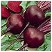 Photo Everwilde Farms - 1 Lb Detroit Dark Red Beet Seeds - Gold Vault new bestseller 2024-2023