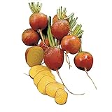 Burpee Golden Beet Seeds 200 seeds Photo, bestseller 2024-2023 new, best price $7.83 review