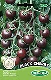 Tomate Mini Black Cherry Foto, Bestseller 2025-2024 neu, bester Preis 2,21 € Rezension