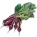 Photo Burpee Detroit Dark Red Med Top Beet Seeds 3000 seeds new bestseller 2024-2023