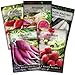 Photo Sow Right Seeds - Radish Seed Collection for Planting - Champion, Watermelon, French Breakfast, China Rose, and Minowase (Diakon) Varieties - Non-GMO Heirloom Seed to Plant a Home Vegetable Garden new bestseller 2024-2023