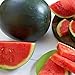 Photo Watermelon, Black Diamond, Heirloom, 50 Seeds, Super Sweet Round Melon new bestseller 2024-2023