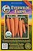 Photo Everwilde Farms - 1000 Organic Danvers Carrot Seeds - Gold Vault Packet new bestseller 2024-2023