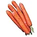 Photo Burpee Nantes Half Long Carrot Seeds 3000 seeds new bestseller 2024-2023