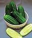 Photo Cucumber, National Pickling Cucumber Seed, Heirloom,25 Seeds, Great for Pickling new bestseller 2024-2023