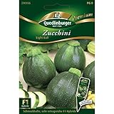 Zucchini 'Eight Ball' F1, 1 Tüte Samen Foto, Bestseller 2024-2023 neu, bester Preis 4,27 € (0,36 € / stück) Rezension