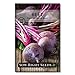 Photo Sow Right Seeds - Detroit Dark Red Beet Seed for Planting - Non-GMO Heirloom Packet with Instructions to Plant a Home Vegetable Garden - Great Gardening Gift (1) new bestseller 2024-2023