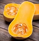 Semillas de Calabaza Moscada - Cucurbita maxima Foto, éxito de ventas 2025-2024 nuevo, mejor precio 7,99 € revisión