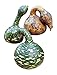 Photo Burpee Speckled Swan (Heirloom) Gourd Seeds 30 seeds new bestseller 2024-2023