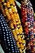 Photo NIKA SEEDS - Vegetable Corn Montana Mix Heirloom for Salads - 50 Seeds new bestseller 2024-2023