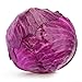 Photo Red Acre Cabbage Seeds, 250 Heirloom Seeds Per Packet, Non GMO Seeds, Botanical Name: Brassica oleracea VAR. capitata f. rubra, Isla's Garden Seeds new bestseller 2024-2023