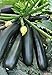 Photo Seeds Zucchini Squash Black Beauty Vegetable for Planting Heirloom Non GMO new bestseller 2024-2023