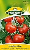 Tomatensamen - Tomate Harzfeuer F1 von Quedlinburger Saatgut Foto, Bestseller 2025-2024 neu, bester Preis 2,81 € Rezension