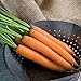 Photo David's Garden Seeds Carrot Yaya 9921 (Orange) 200 Non-GMO, Hybrid Seeds new bestseller 2025-2024