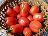 75+ Roma VFN- Heirloom Tomato Seeds Photo, bestseller 2024-2023 new, best price $3.89 review