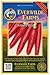 Photo Everwilde Farms - 1000 Atomic Red Carrot Seeds - Gold Vault Jumbo Seed Packet new bestseller 2025-2024