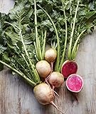 Burpee Watermelon Radish Seeds 300 seeds Photo, bestseller 2024-2023 new, best price $7.28 ($0.02 / Count) review