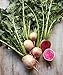 Photo Burpee Watermelon Radish Seeds 300 seeds new bestseller 2024-2023