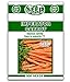 Photo Imperator Carrot Seeds - 500 Seeds Non-GMO new bestseller 2024-2023