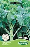 Germisem Kohl Galega, mehrfarbig, EC3025 Foto, Bestseller 2024-2023 neu, bester Preis 2,21 € Rezension