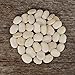 Photo Henderson's Bush Lima Bean - 50 Seeds - Heirloom & Open-Pollinated Variety, USA-Grown, Non-GMO Vegetable/Dry Bean Seeds for Planting Outdoors in The Home Garden, Thresh Seed Company new bestseller 2024-2023