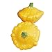 Photo Burpee Sunburst Summer Squash Seeds 25 seeds new bestseller 2024-2023