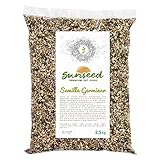 Semilla Germinar Sunseed 2,5 Kg Foto, éxito de ventas 2025-2024 nuevo, mejor precio 12,33 € revisión