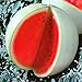 Photo Seeds4planting - Seeds Watermelon Snow White Giant Heirloom Fruits Non GMO new bestseller 2024-2023