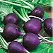 Photo Seeds Radish Purple Rare 20 Days Vegetable for Planting Non GMO new bestseller 2024-2023