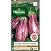 Photo Vilmorin - Sachet graines Aubergine Listada de Gandia nouveau best-seller 2024-2023