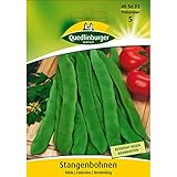 Stangenbohne, Hilda Foto, Bestseller 2024-2023 neu, bester Preis 3,88 € (77,60 € / kg) Rezension