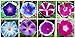 Photo Mixed Color Tall Morning Glory Climbing Vine | 150 Seeds to Plant | Beautiful Flowering Vine. Made in USA, Ships from Iowa new bestseller 2024-2023