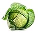 Photo Brunswick Cabbage Seeds, 300 Heirloom Seeds Per Packet, Non GMO Seeds, Botanical Name: Brassica oleracea, Isla's Garden Seeds new bestseller 2024-2023