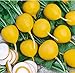 Photo David's Garden Seeds Radish Golden Helios 3377 (Yellow) 200 Non-GMO, Open Pollinated Seeds new bestseller 2024-2023