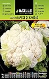 Coliflor grande NAVIDAD (dic-en) Foto, éxito de ventas 2025-2024 nuevo, mejor precio 1,60 € revisión