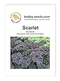 Kohlsamen Scarlet Grünkohl Portion Foto, Bestseller 2024-2023 neu, bester Preis 1,75 € Rezension