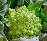 Blumenkohl Romanesco - Kohl - 100 Samen Foto, Bestseller 2024-2023 neu, bester Preis 1,60 € Rezension