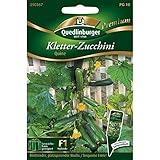 Quedlinburger Saatgut - Kletterzucchini Quine Samen Foto, Bestseller 2024-2023 neu, bester Preis 4,31 € (0,54 € / stück) Rezension