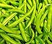 Photo 25 Contender Bush Bean Seeds | Non-GMO | Fresh Garden Seeds new bestseller 2024-2023