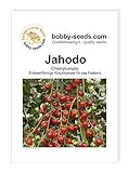 Tomatensamen Jahodo, Cherrytomate Portion Foto, Bestseller 2025-2024 neu, bester Preis 1,95 € Rezension