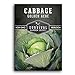 Photo Survival Garden Seeds - Golden Acres Green Cabbage Seed for Planting - Packet with Instructions to Plant and Grow Yellow-White Cabbages in Your Home Vegetable Garden - Non-GMO Heirloom Variety new bestseller 2024-2023