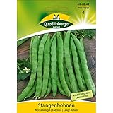 Quedlinburger Stangenbohnen Neckarkönigin,1 Portion Foto, Bestseller 2024-2023 neu, bester Preis 3,09 € (5,22 € / l) Rezension